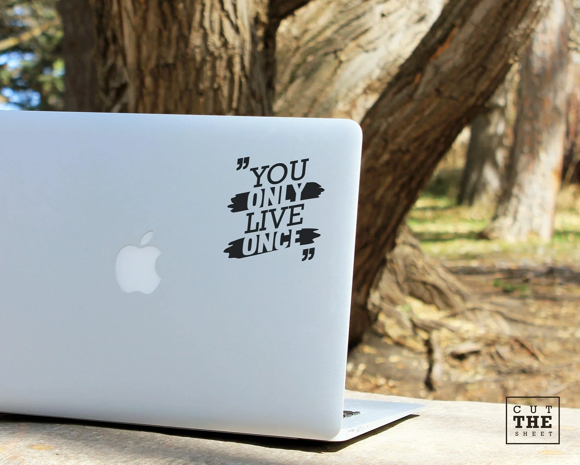 

Наклейка на ноутбук для Yolo you live only once