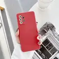 FX camellia red