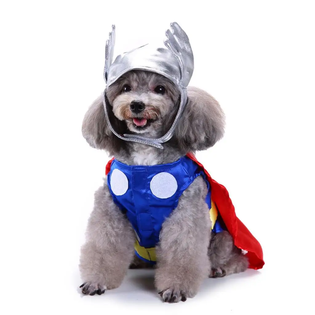Disfraz para mascota, traje de Thor para fiesta de Cosplay, Halloween, perro,  cachorro, navidad - AliExpress, image size:1024x1024