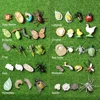 Simulation Small Insect Animals Growth Life Cycle Model Bee Spider Frog Butterfly Figurine Cute Kids Baby Early Educational Toys 6