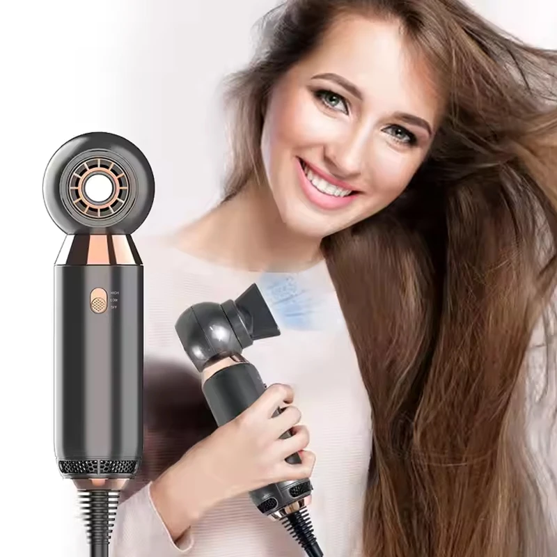 

Professional Hair Dryer Constant Temperature Hot Air Negative Ion Hair Styling Quick 800W Product Blow Dry
