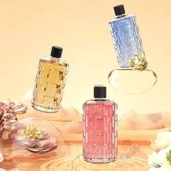 Aromas Collection: Premium 50ml Scented Essential Oils for Diffusers and Large Spaces