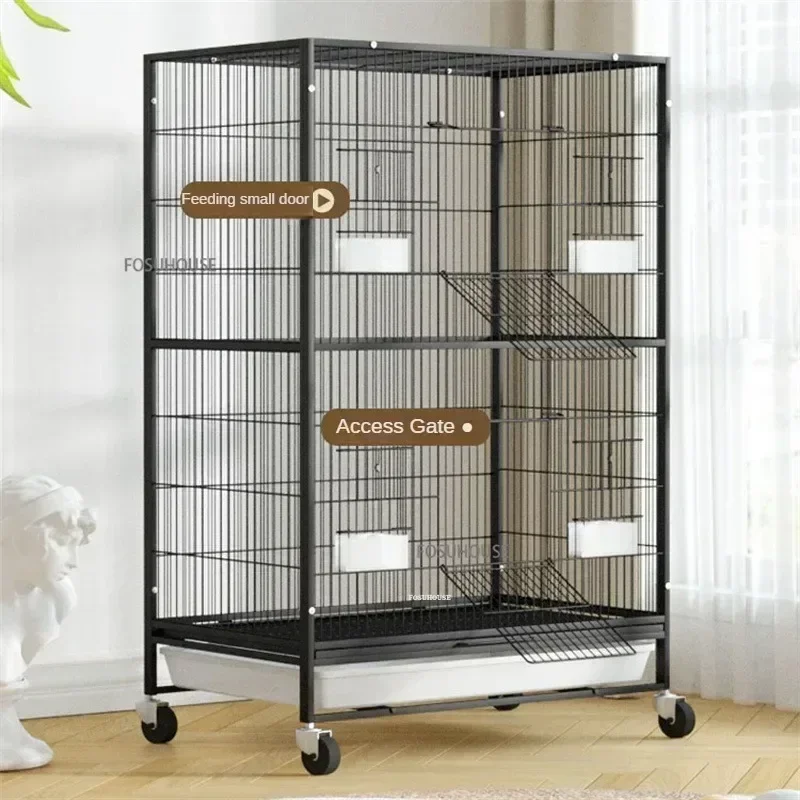 Image showcasing Design Indoor Parrot Cage: The Ultimate Guide to Choosing the Right ...