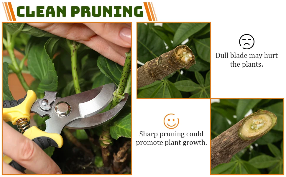 3 Pack Garden Pruning Shears Set Stainless Steel Scissors Clippers Pruning Snips Shears Hand Tools for Flowers Leaves Potted