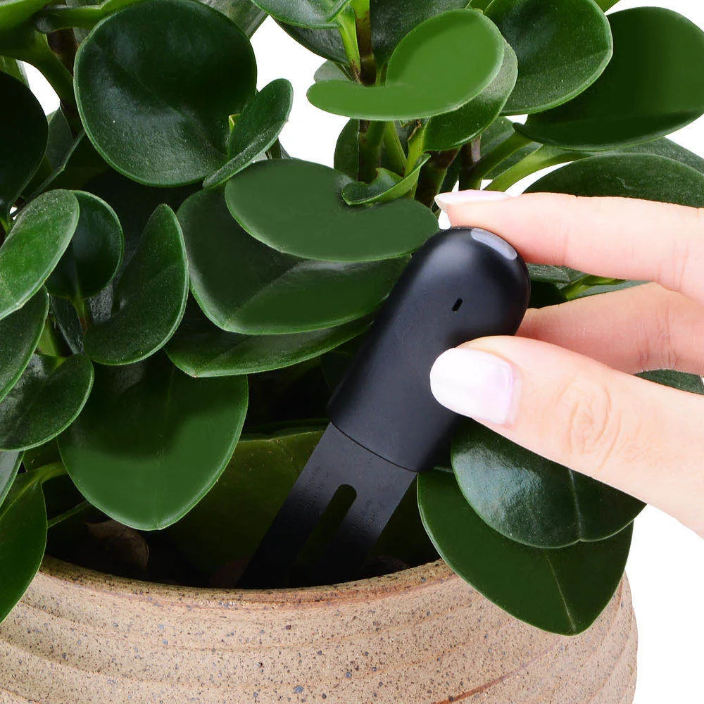 HHCC Flora Monitor Garden Care Plant Grass Soil Water Fertility Smart Tester Sen