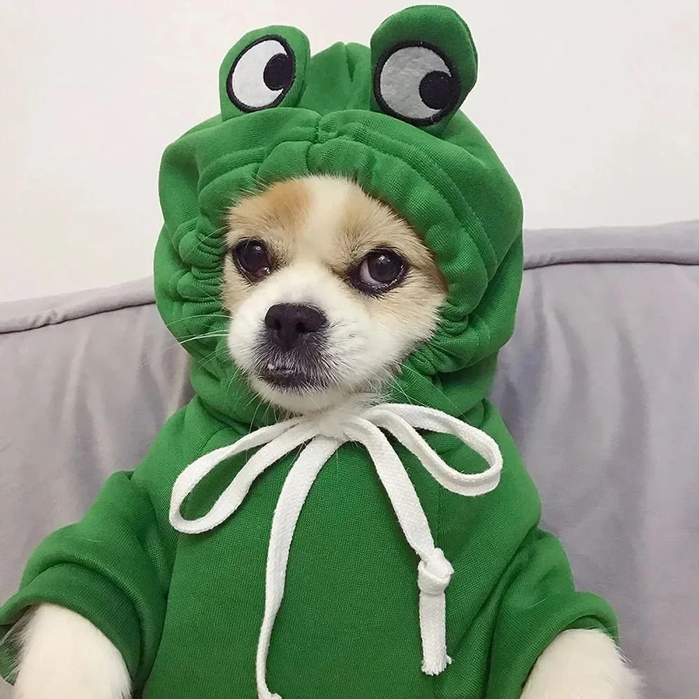 Dogs Clothes Luxury Apparels Accessories Apparel Home Dog´s Sweater Pet Clothing Puppy Frogs Cute Hoodie Outfit Suit Jumper