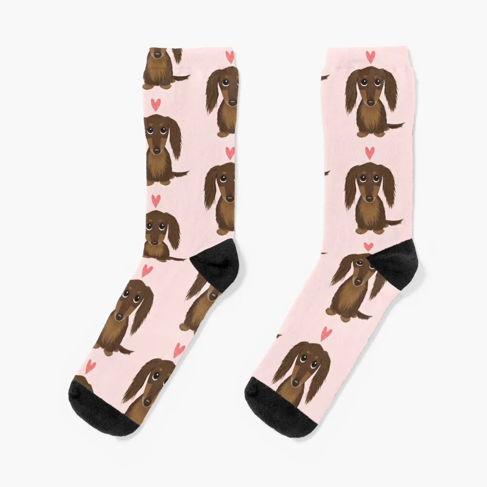 

Longhaired Chocolate Dachshund | Cute Wiener Dog with Heart Socks compression stockings Women essential Sock Women