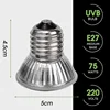 25/50/75W Reptile Heating Light Bulb Turtle Lizards Pet Growth Heat E27 Lamp Bulb UV Light Bulbs Heating Light for Amphibians 6