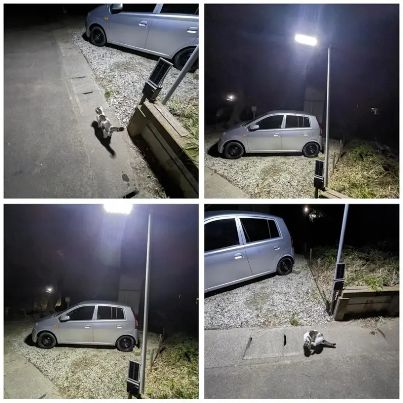 250W Solar Lights Outdoor Waterproof 8000LM LED Flood Lights Motion Sensor with Remote 3 Modes Street Lamp for Yard Garden Path 5