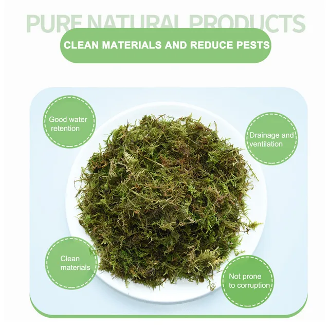 200G Spagmoss Premium Új -Zéland Száraz Sphagnum Moha Szárított Víz Mohás Táplálkozási Orchideák Pozsgás Növényekhez - Image 4