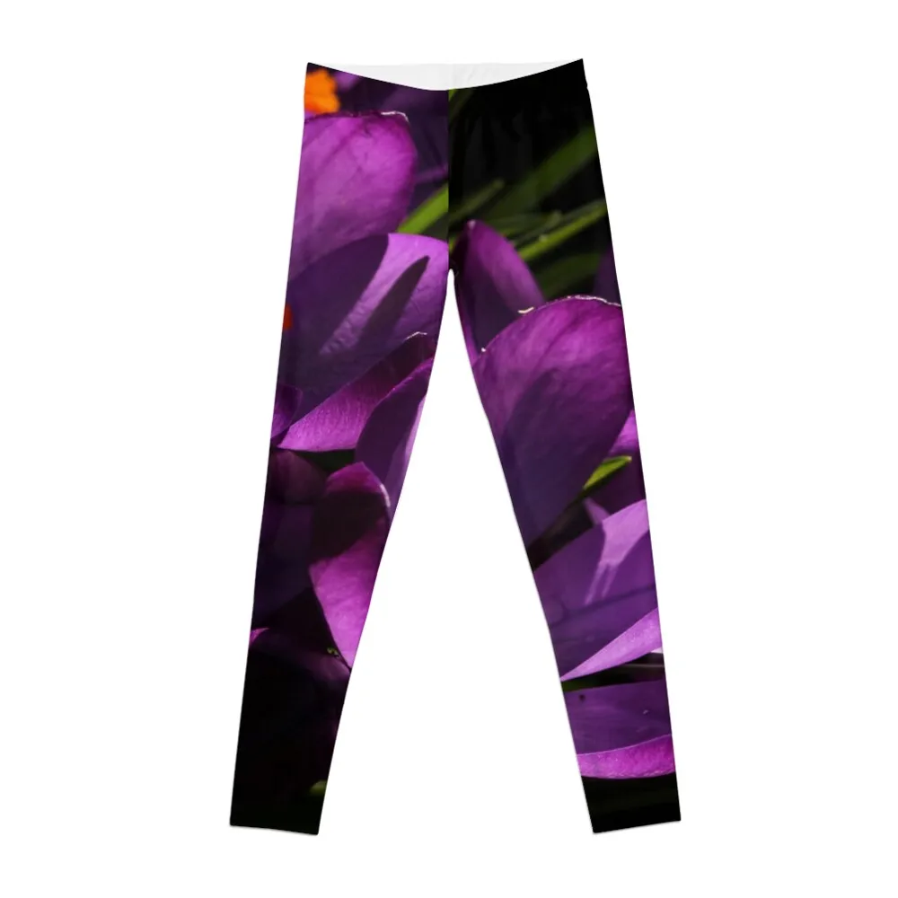 

Purple Crocus Leggings Tight fitting woman Women's sports pants Women's sportswear Womens Leggings