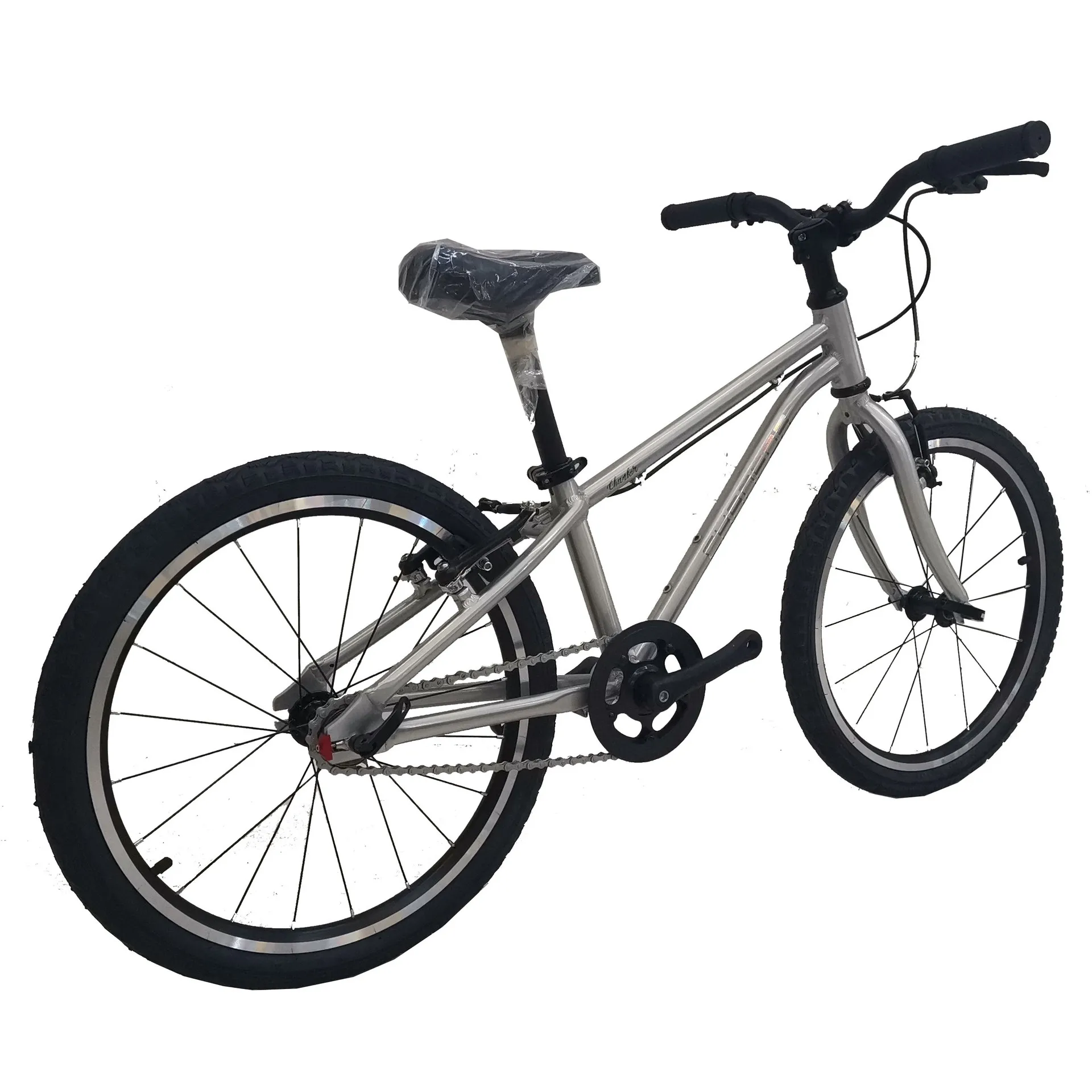 Aluminum Alloy Lightweight Bicycle for Boys and Girls Students Middle and Big Children Outdoor Learning to Ride 20 in Selfree