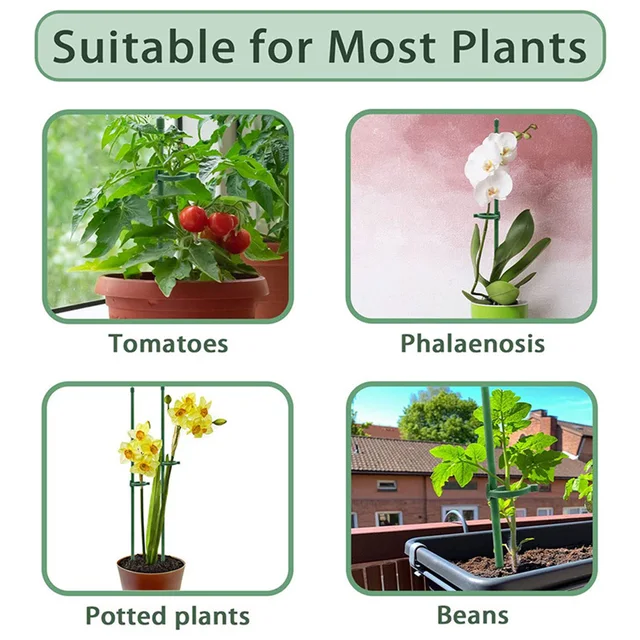 Növénytámogató Halom Állvány Virágokhoz Félkör Üvegházak Elrendezés Rögzítő Rúd Tartó Orchard Kert Bonsai Szerszám - Image 3