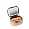 1 pc LED Cosmetic Case with Lights and Mirror Cosmetic Bag, USB Rechargeable &Detachable mirror 3