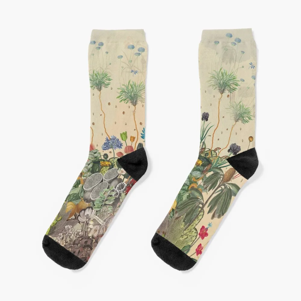 

FANTASTIC BOTANICAL Socks new in's valentine gift ideas Women Socks Men's