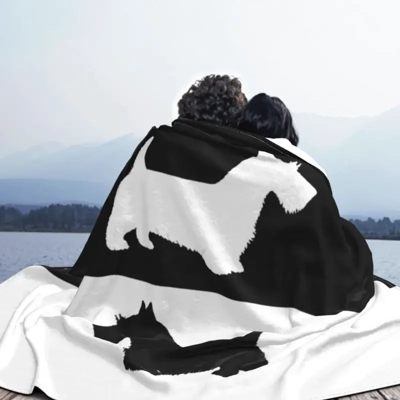 ������ �ε巯�� �ö��� ��īƼ �׸��� ���, ���� ���� ħ���� �� ������ ���, ����