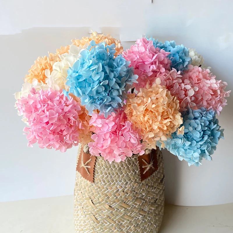 

Colorful Preserved Hydrangea Dried Flower Natural Floral Decorative Home Room Decor Wedding Decoration Small Leaf Anna Hydrangea