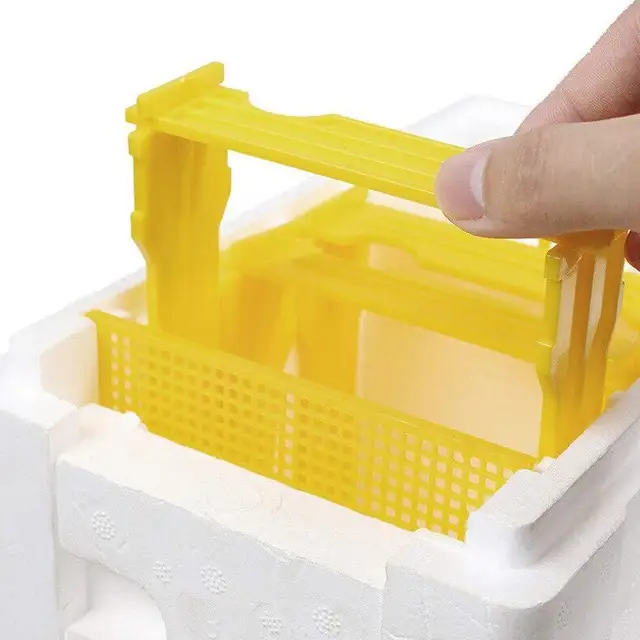 Queen Bee Tenyésztő Doboz Méh Párosító Hab Méhkas Beporzás Tenyésztés Méhész Tok Box Kert U4P3 - Image 3