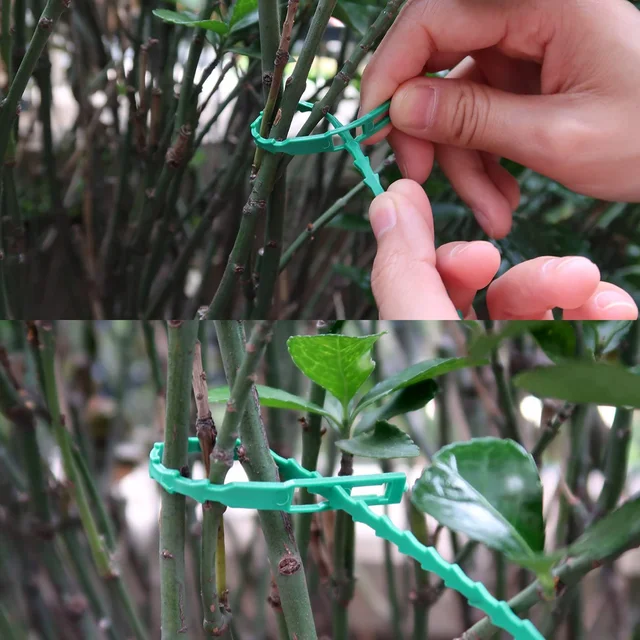 Kábelötés Önzáró Műanyag Huzalkábel Cipzárak Zöld Rögzítő Gyűrű Többcélú Hal Csontkert Kötő Kábel Nyakkendő - Image 4