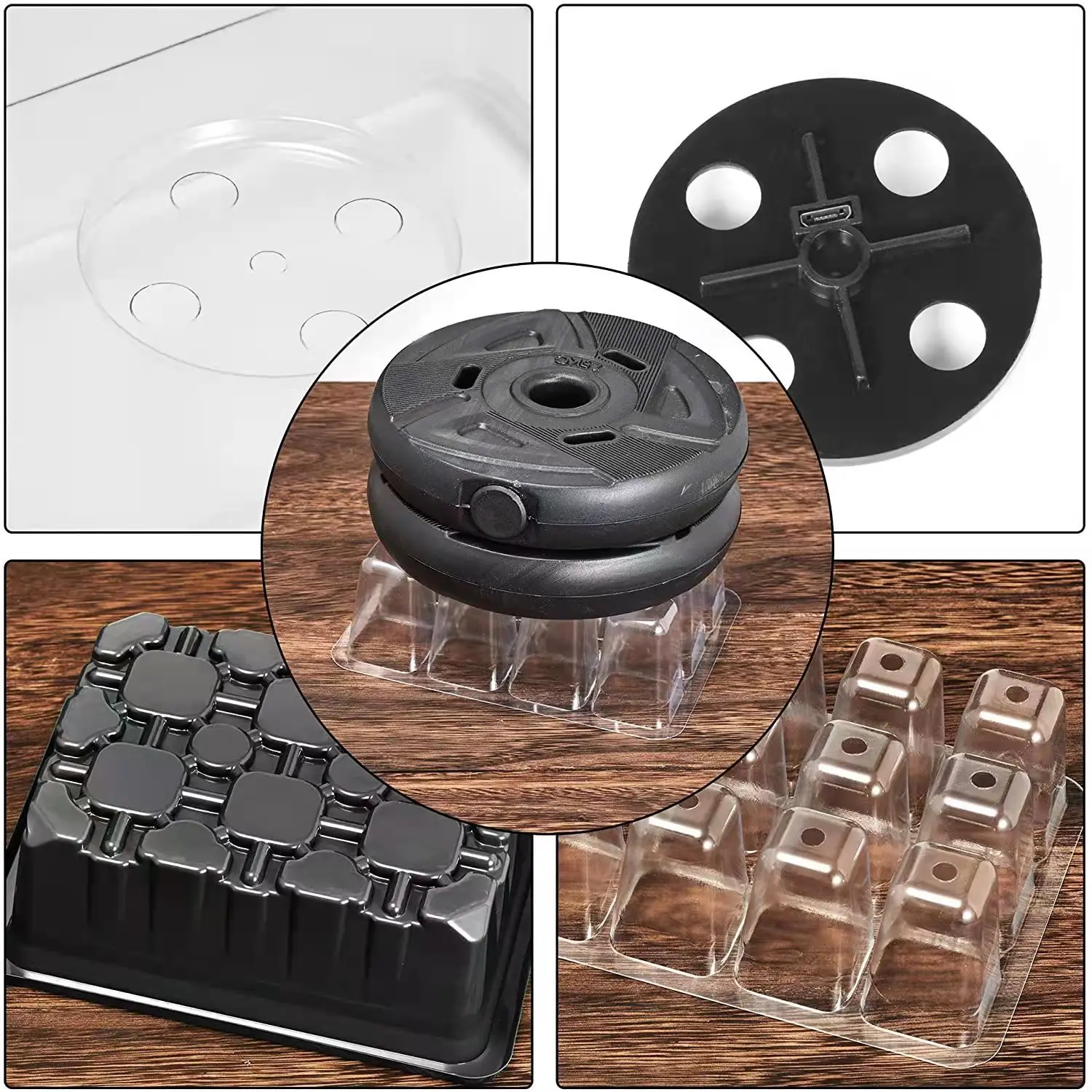 2022 12 Hole Seedling Trays Seed Starter Starter Plant Flower Grow Box Propagation For Gardening Grow Starting Germination Box