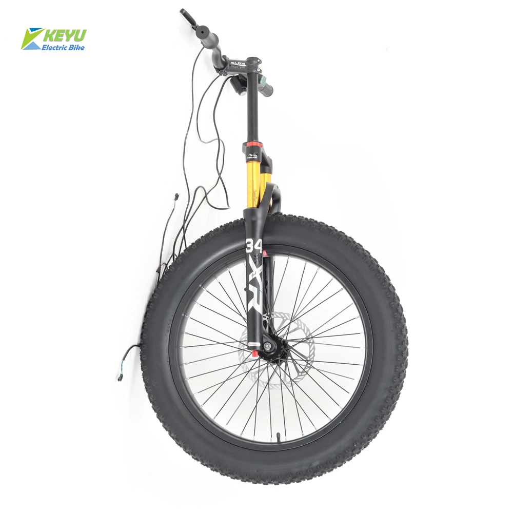 Electric Bike Front Fork Front Wheel E Bike Parts Fat Tre Bike Front