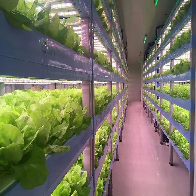 รูปสินค้า ระบบฟาร์มไฮโดรโปนิกส์ในตู้คอนเทนเนอร์ Smart Container Farm