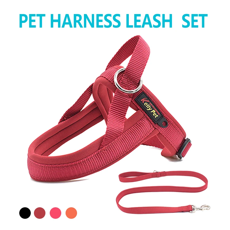 

Nylon Mesh Dog Harness Adjustable Comfortable Soft Pet Harnesses Leash Set for Small Medium Large Dogs Walking Running Pet Vest