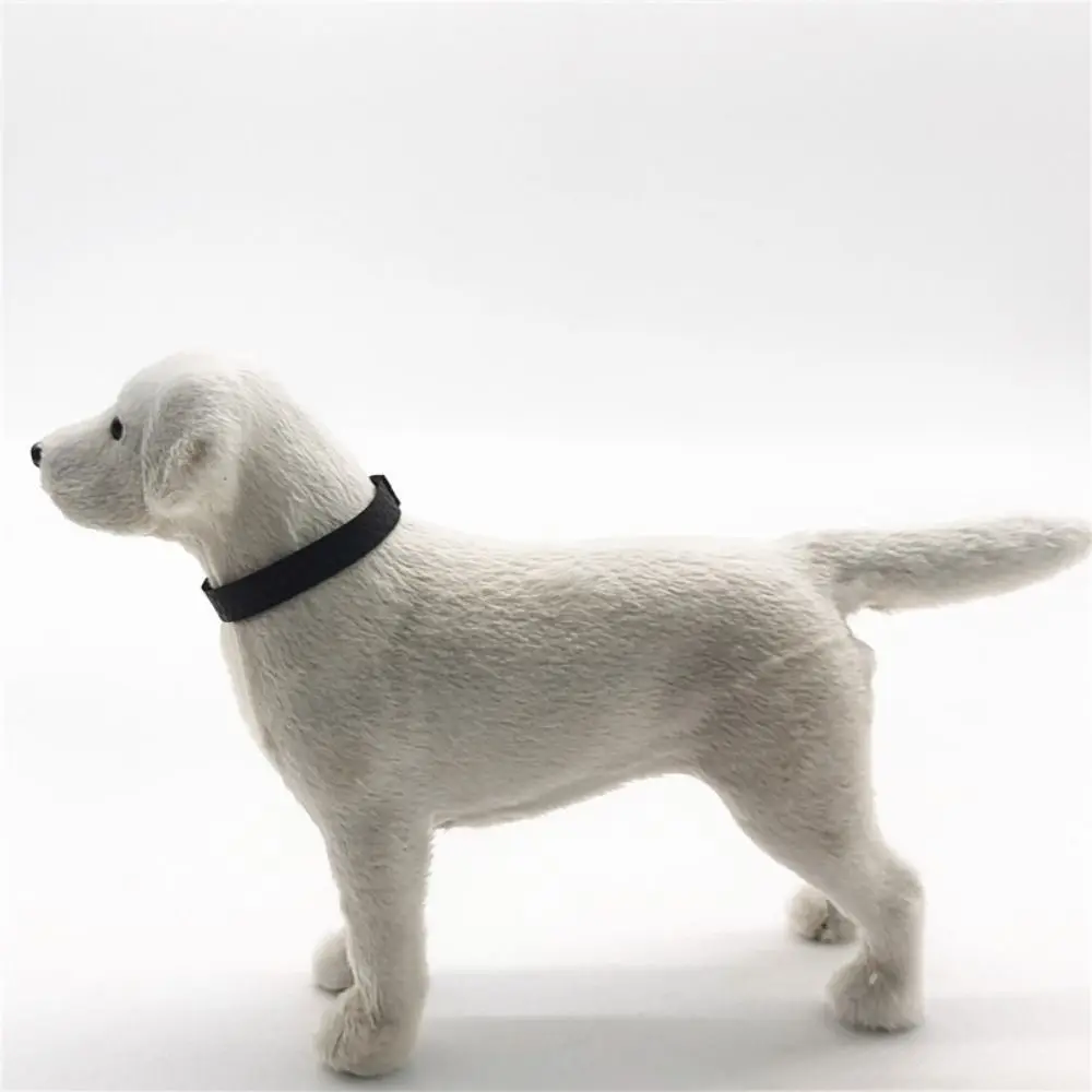 Handicraft Collection Simulated Animal Labrador Dog Model New Figurines Miniatures Dog Models Decoration Crafts