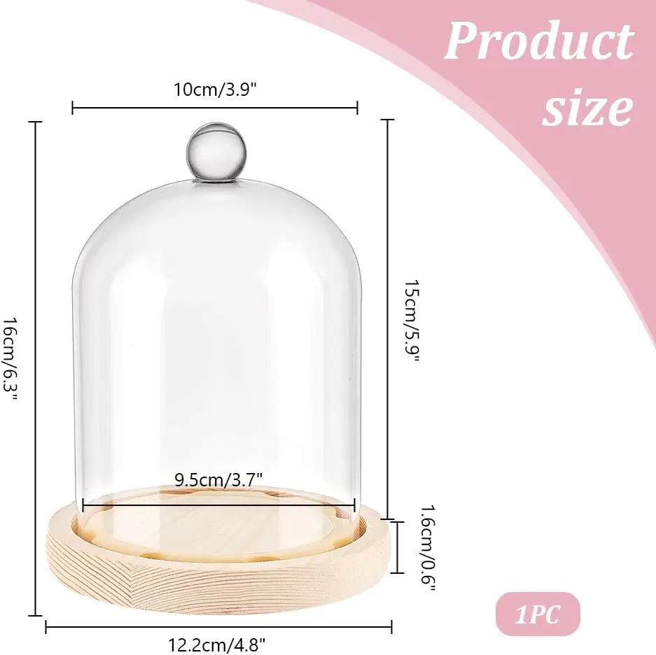 1 pc Cloche Glass Dome Clear Glass Display Dome with Top Handle for Plants