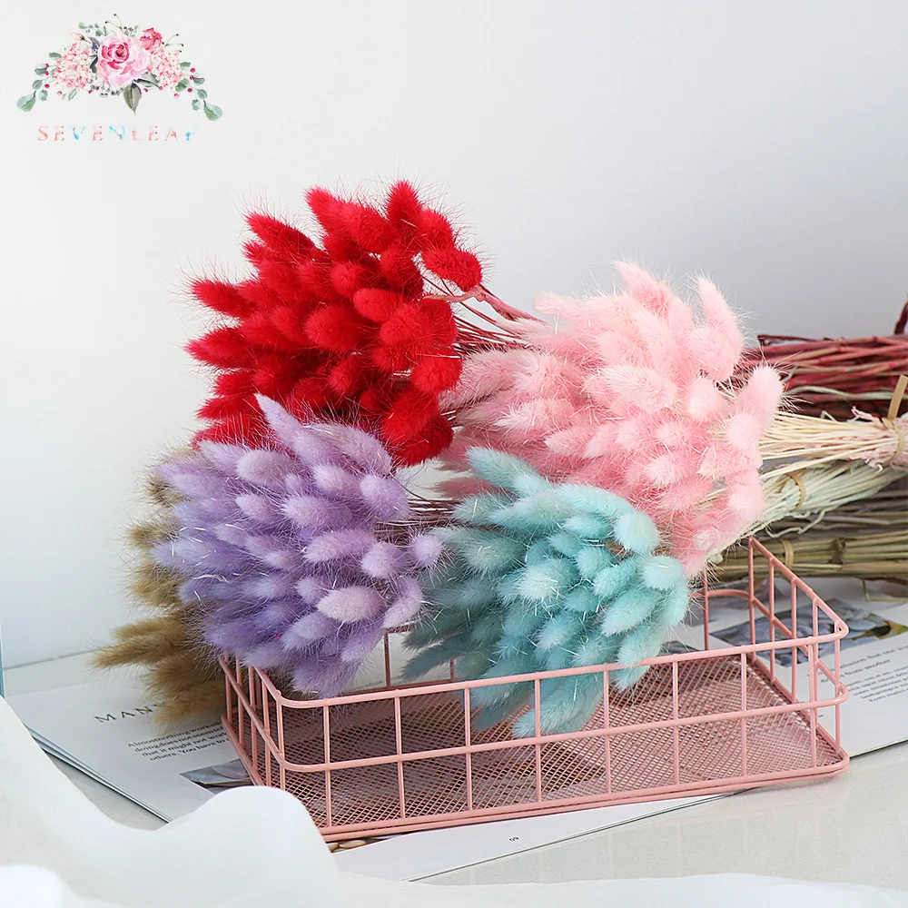 

50pcs Colourful Pastoral Rabbit Tail Grass Dried Flower Bouquet Artificial Plants Bunny Tails Stem Material Boho Home Decortaion