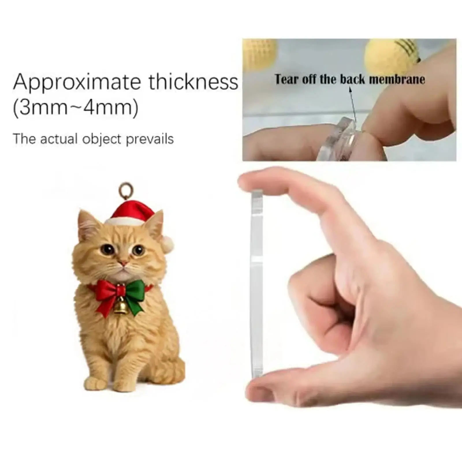 Cat Advent Calendar 2025 5