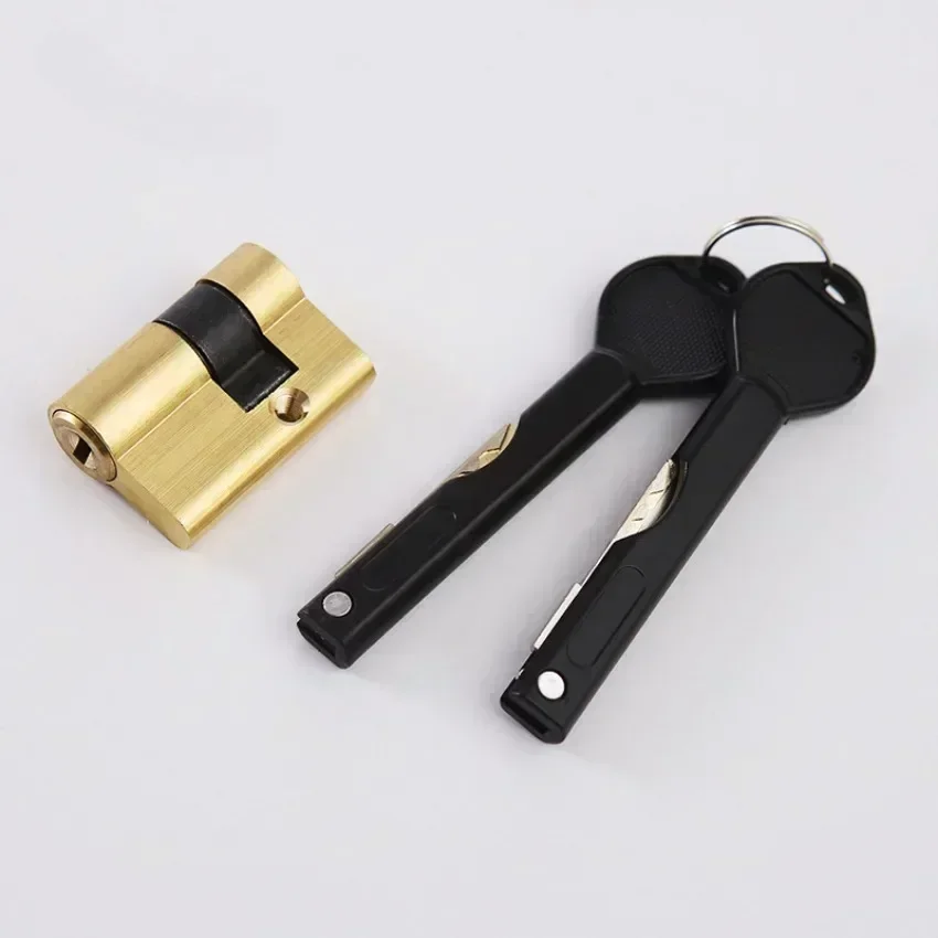 Smart Lock Core with Fingerprint/Password Deadbolt Cylinder for Fully Automatic Locks Compatible with Wangli Baodean & Panpan