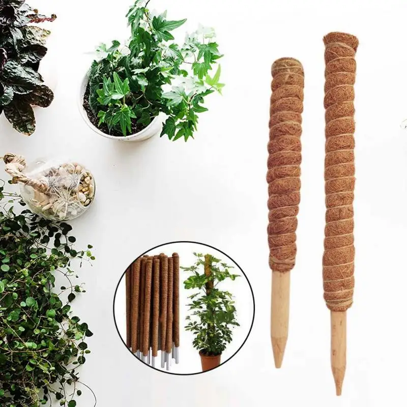 Plant Climbing Support Coconut palm sticks Extendable and deformable for gardening plant accessories