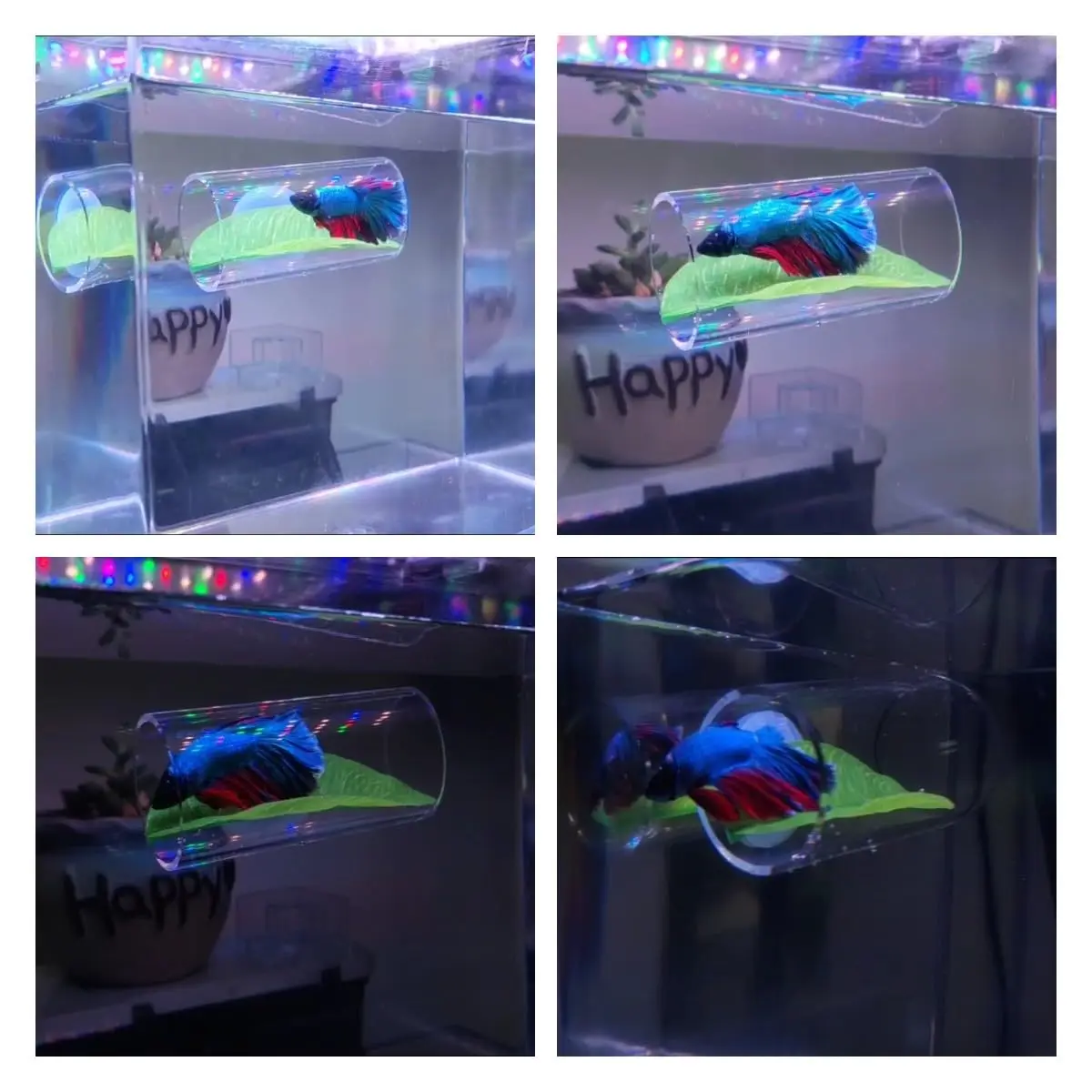 Betta Fish Acrylic Tube Tunnel Hollow Design Fish Tank Decorations For Better Observation Improves Betta's Health 1/2Pcs fish tank ornaments fish tank decorations aquarium ornaments