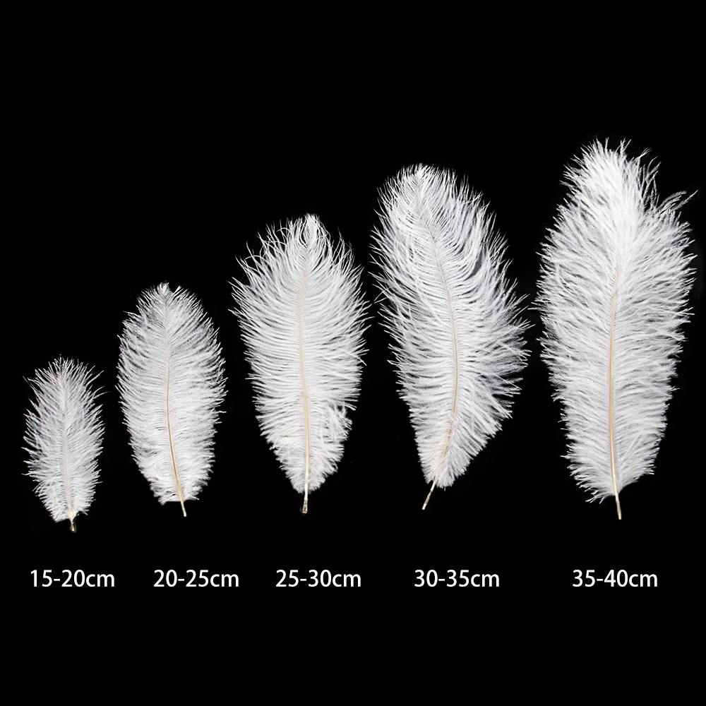 10Pcs Fluffy Ostrich Feathers Crafts White Feather for Wedding Party Home  Vase Decoration DIY Jewelry Decoration plumes 15-35CM - AliExpress