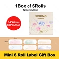 6Rolls Gift Box B