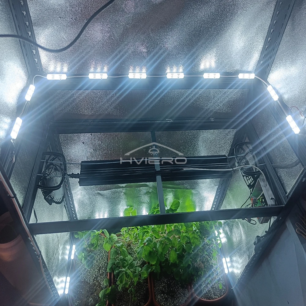 5054 미니 LED 모듈, DC 12V 방수 백라이트, 광고 가장자리 디자인, 흰색 따뜻한 분위기, TV 광고, 20 개