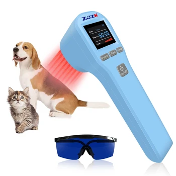 Household Laser Physical Therapy Rehabilitation Devices Cold Laser Therapy 808nm 650nm Physiotherapy Equipment