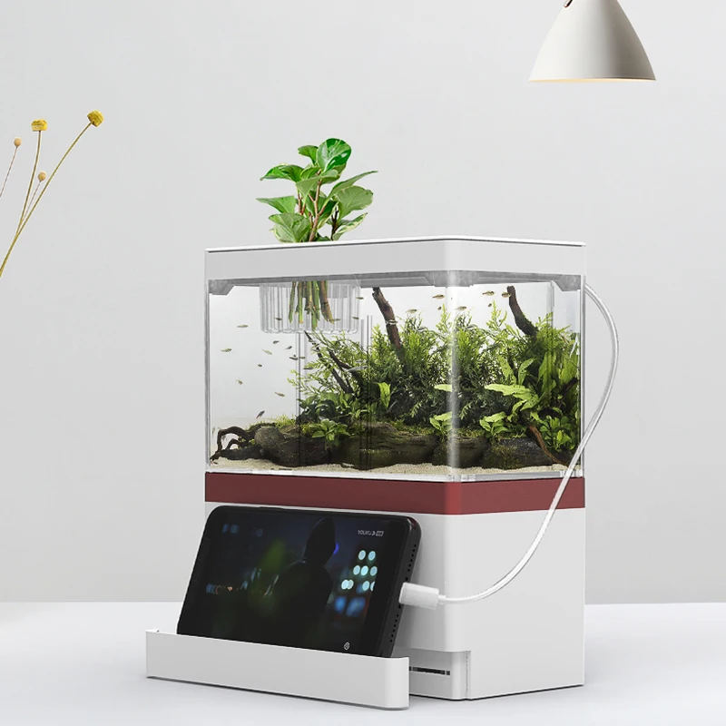 

Office Desks Smart Fish Tank Small Water Pump Acrylic Living Room Waterproof Goldfish Box Modern Urna Acuario Aqurium Items