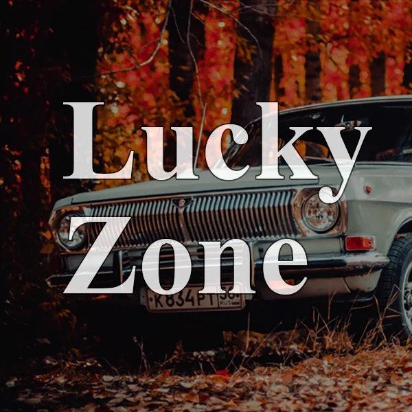 Lucky Zone Store