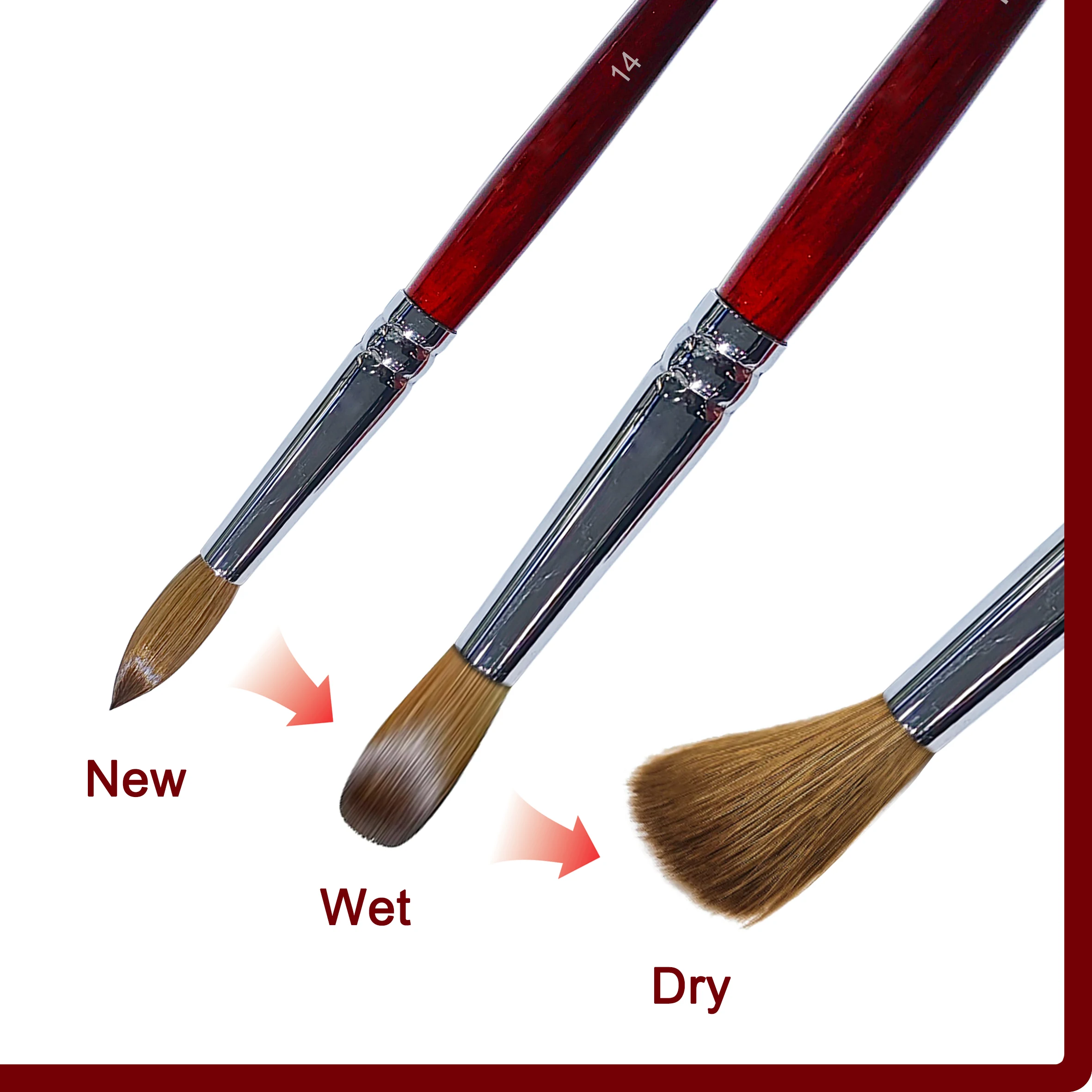 RolinStar SS quality 100% Kolinsky content Acrylic dipping powder red wood penholder Round Shaped nail brush mink durable 2