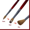 RolinStar SS quality 100% Kolinsky content Acrylic dipping powder red wood penholder Round Shaped nail brush mink durable 2