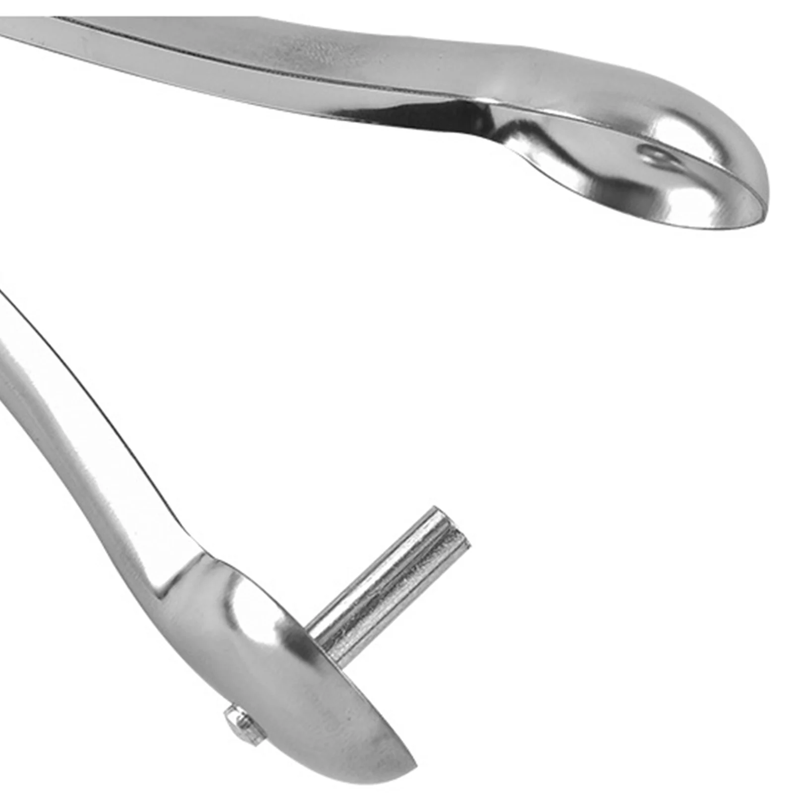 Cherry pitter fruit pit remover stainless steel kit for home kitchen hand press