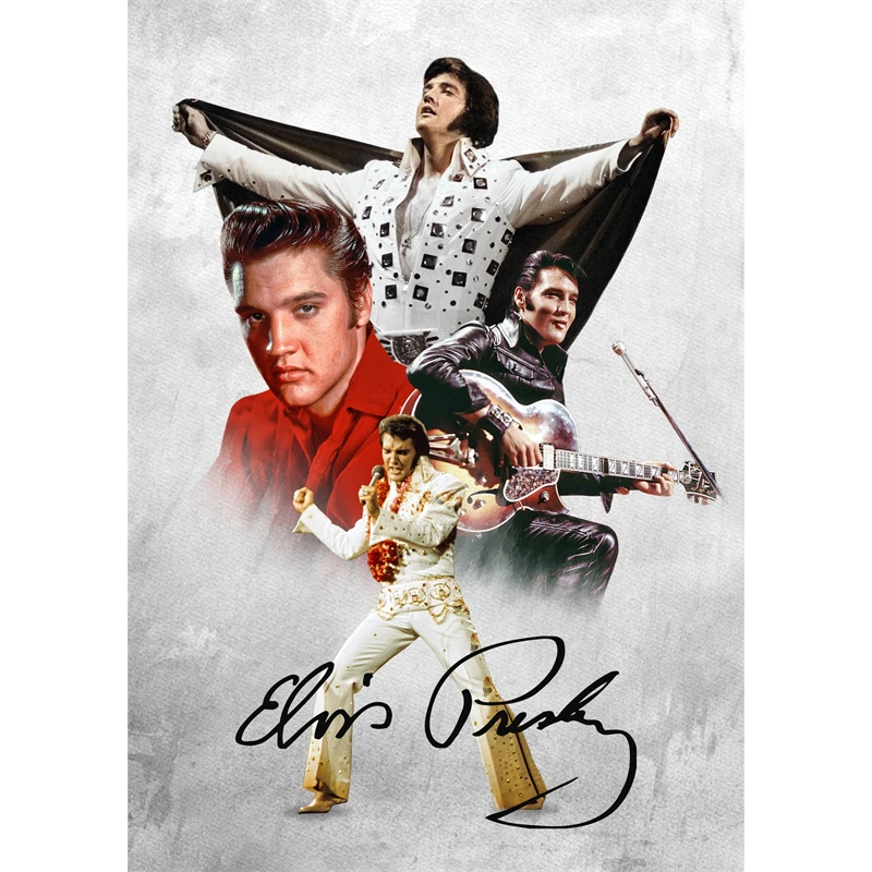 Vintage Pop Legend Canvas Print Wall Art - Music Icon Aesthetic Decor
