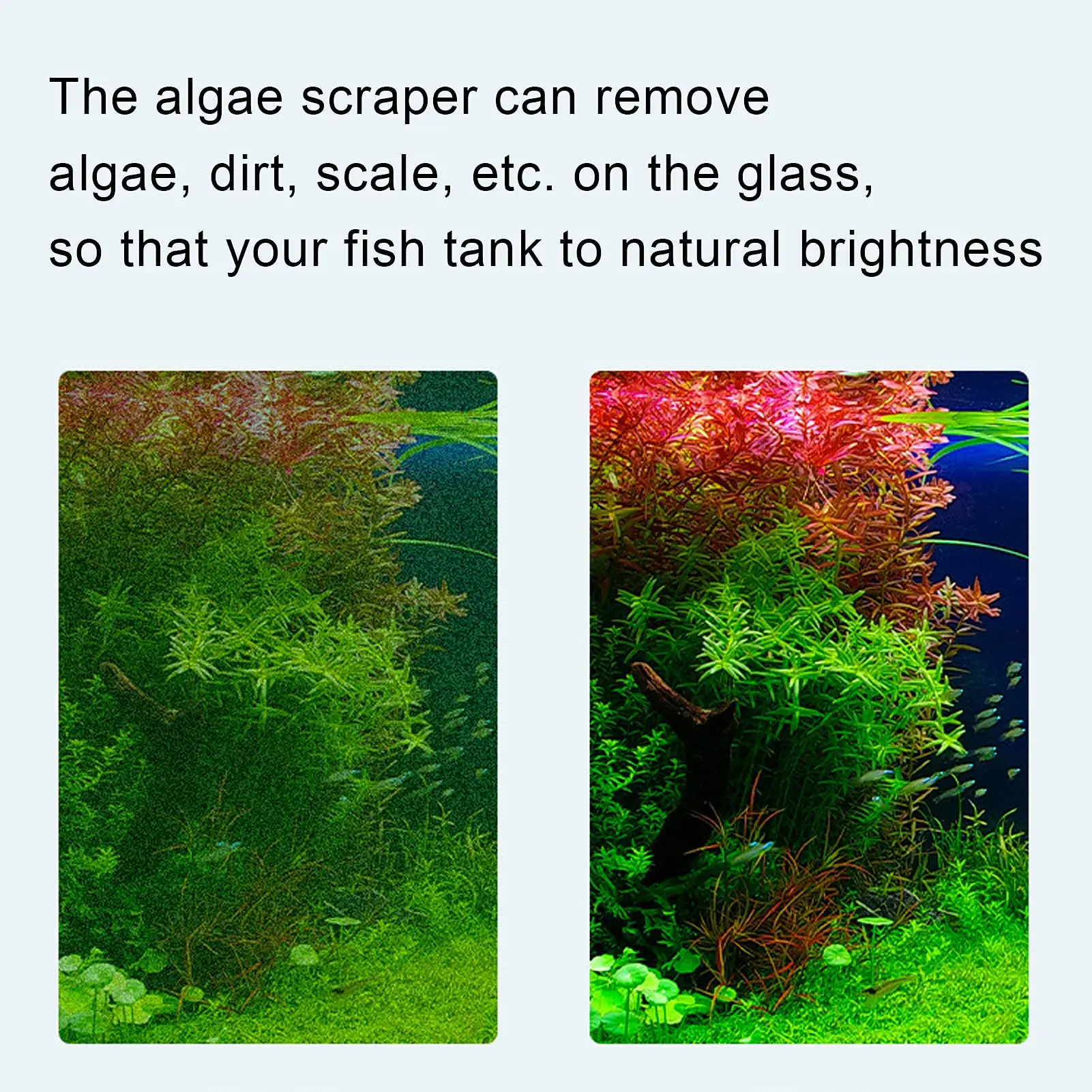 Aquarium Algae Razor Scraper-Extendable 21.65in Cleaning Tool for Glass Fish Tanks