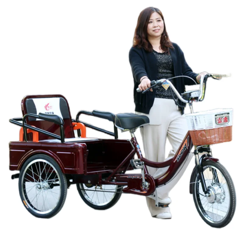 Bicicletta da carico elettrica a tre ruote per adulti 48V 250W con triciclo elettrico per sedile passeggero per batteria al litio rimovibile