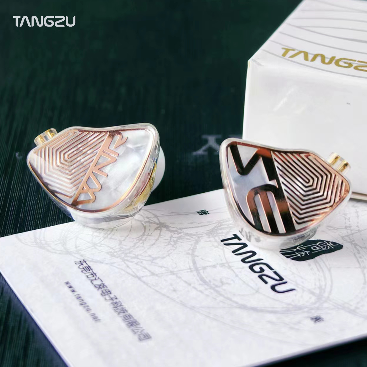  TANGZU WANER STUDIO Edition In Ear Earbud 10mm PET Diaphragm Dynamic Driver 0.78mm 2Pin Swappable Cable Studio Wired IEM 