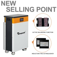 Tewaycell 51.2V 314Ah 16KWh Lifepo4 batterie 48V 15KWh Pack Powerwall intégré BMS ESS système de stockage solaire d'énergie domestique ue sans taxe 6