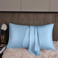 Pure Mulberry Silk Pillowcase 100% Natural Silk Pillow Cover 40*60cm 50*70cm Qeen King Size Pillowcase 1