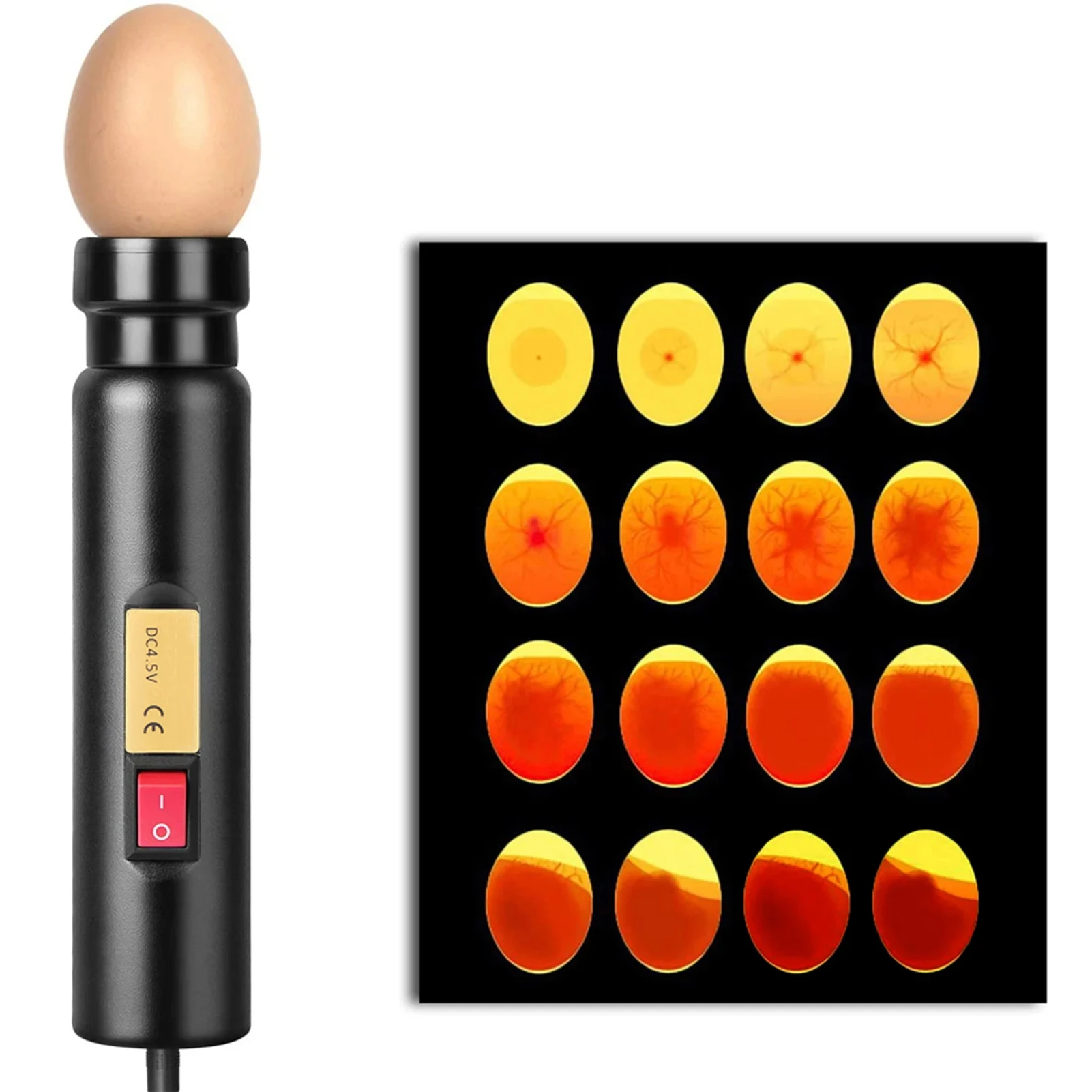 Egg Candler for Monitoring Eggs Development s price high quality egg tester/egg candler for incubator test eggs chicken